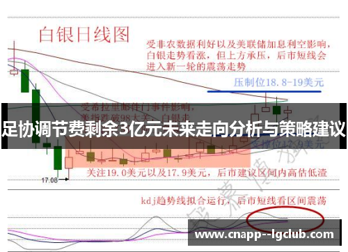 足协调节费剩余3亿元未来走向分析与策略建议