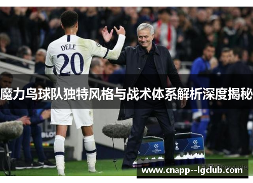 魔力鸟球队独特风格与战术体系解析深度揭秘