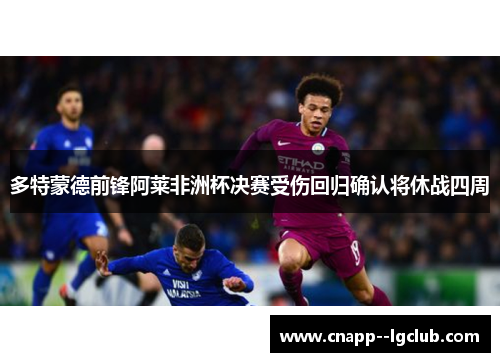 多特蒙德前锋阿莱非洲杯决赛受伤回归确认将休战四周